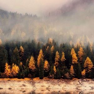 Meet your Posher, Riley